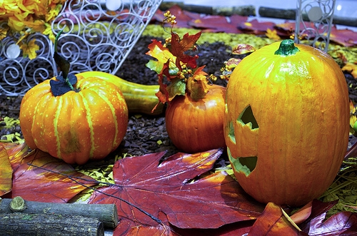 holiday halloween