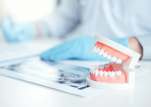 Dentist with denture learning how to teeth at dentists office