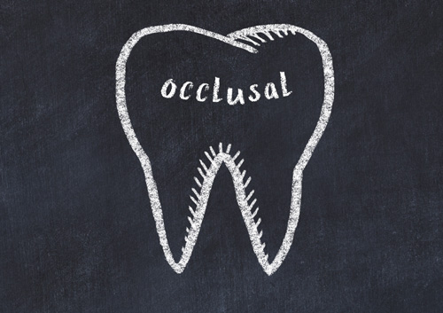 tooth with medical term occlusal